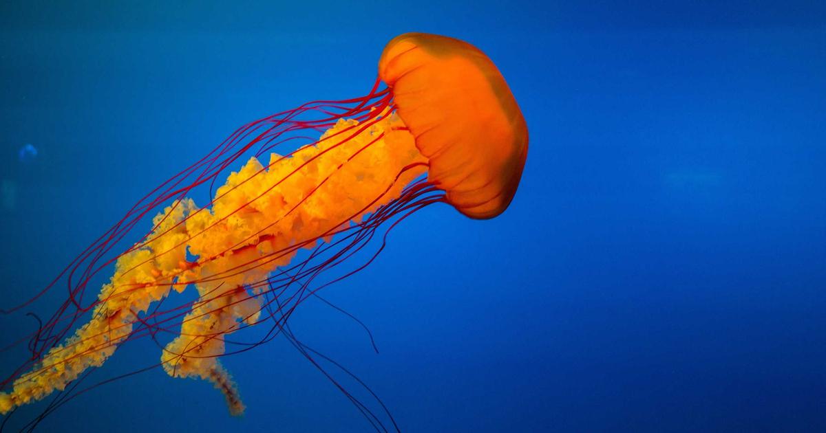 Het belang van meditatie voor spirituele ontwikkeling