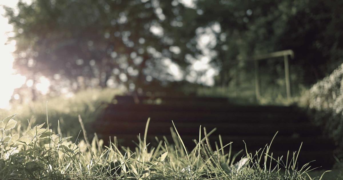 Spirituele groei: waar begin je?