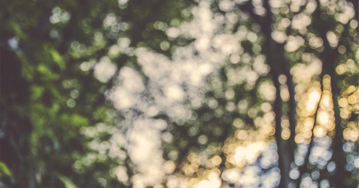 Chakra healing: balans vinden in je energiecentra